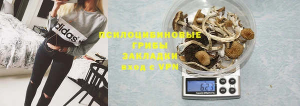 спайс Алзамай