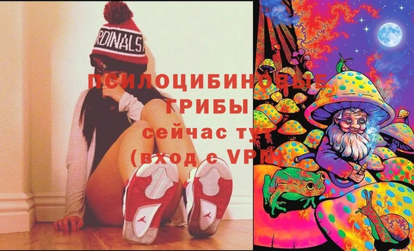 спайс Алзамай